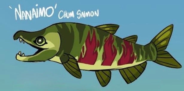Nanaimo the Chum Salmon