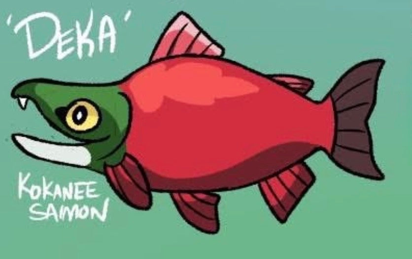 Deka the Kokanee Salmon