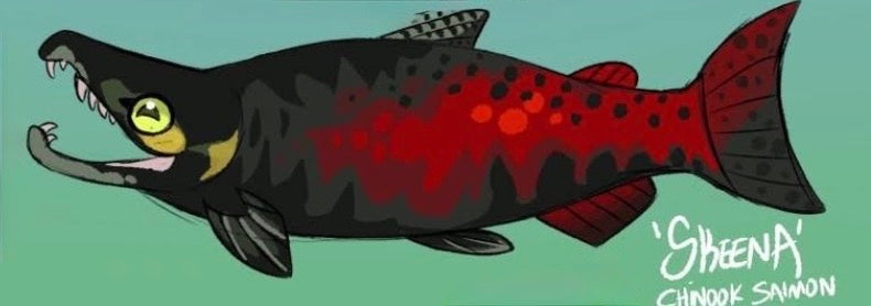 Skeena the Chinook Salmon