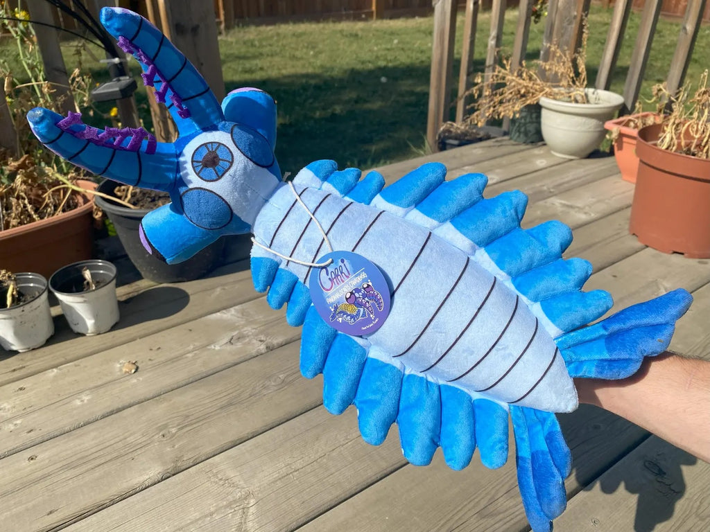 Carri the Anomalocaris Canadensis Plush Toy