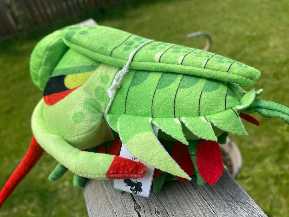 Nellie the Olenellus santuccii